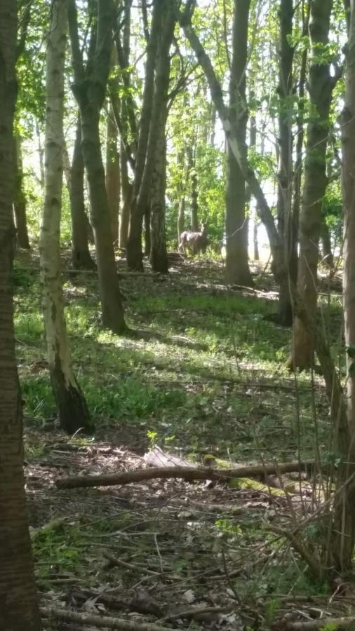Westhurst Park Bnb Bredon Dış mekan fotoğraf