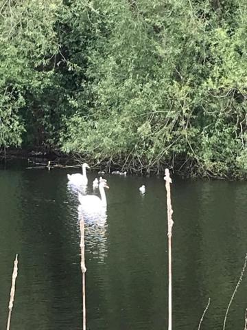 Westhurst Park Bnb Bredon Dış mekan fotoğraf